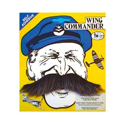 Tache - Wing Commander