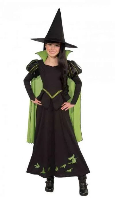 The Wicked Witch Of The West Costume Child