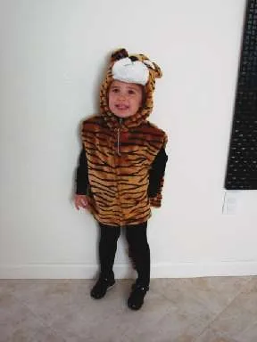Tiger Tabard