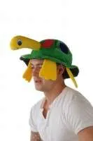 Tortoise Hat