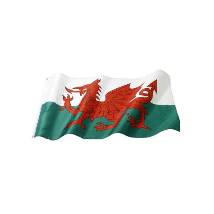 Welsh Flag - Image 1