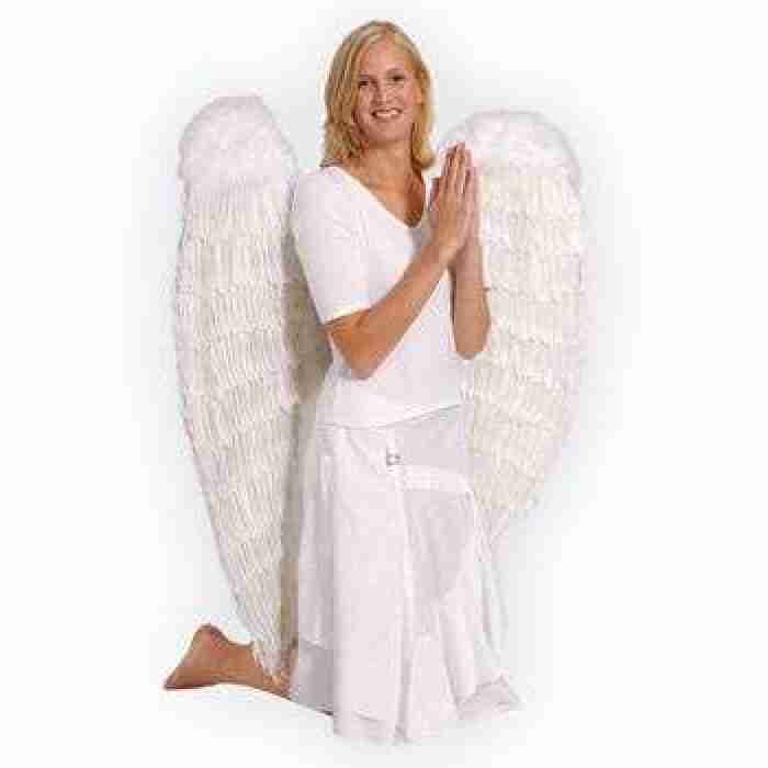 White Angel Wings1