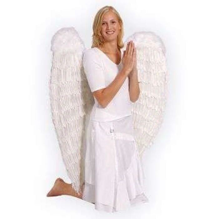 White Angel Wings - Image 1