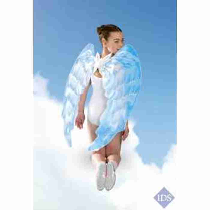 Wings Jumbo Blue1