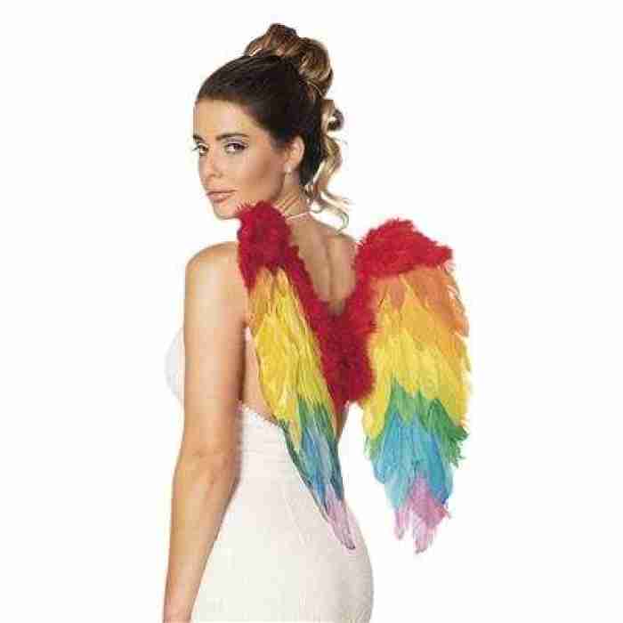 Wings Rainbow Colors 52833