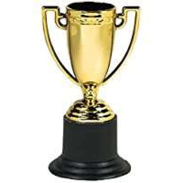 Winner Trophies - Image 1
