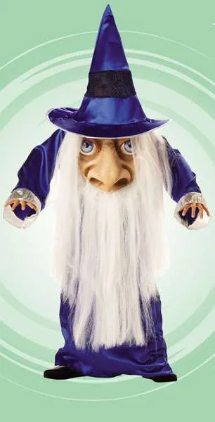 Wizard Mad Hatter Child