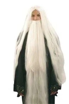 Wizard Wig & Beard
