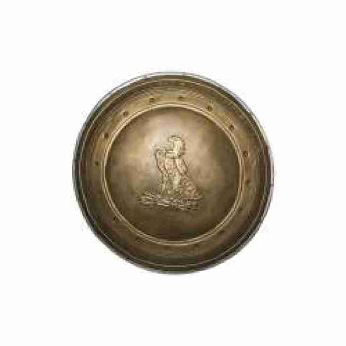 Wonder Women Shield 34602 img