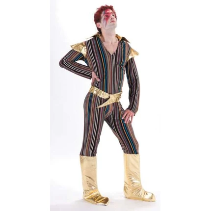 Ziggy Star Dust Adult Costume