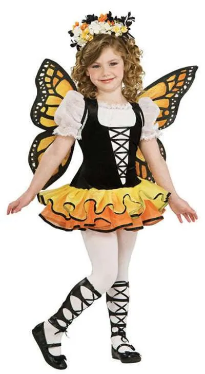 Monarch Butterfly - Image 1