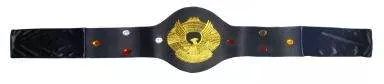 World Championship Belt - Adult