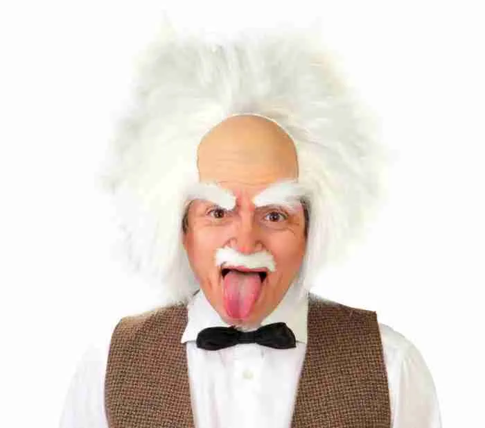 Einstein Wig - Image 1