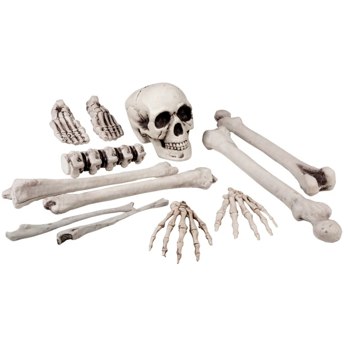 12 pieces Skull & bones (40 cm) - Image 1